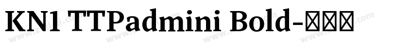 KN1 TTPadmini Bold字体转换